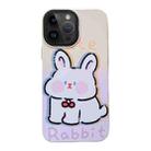 For iPhone 13 Pro Max 2 in 1 PC + TPU Shockproof Phone Case(Rabbit) - 1