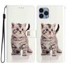 For iPhone 15 Pro Max Colored Drawing Leather Phone Case(Little Tabby Cat) - 1
