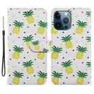 For iPhone 15 Pro Max Colored Drawing Leather Phone Case(Pineapple) - 1