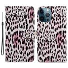 For iPhone 15 Pro Max Colored Drawing Leather Phone Case(Leopard) - 1