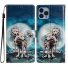 For iPhone 15 Pro Colored Drawing Leather Phone Case(Twin Wolves) - 1