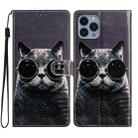 For iPhone 15 Pro Colored Drawing Leather Phone Case(Sunglasses Cat) - 1