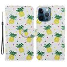 For iPhone 15 Pro Colored Drawing Leather Phone Case(Pineapple) - 1
