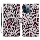 For iPhone 15 Pro Colored Drawing Leather Phone Case(Leopard) - 1