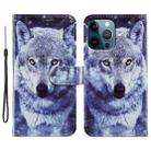 For iPhone 15 Pro Colored Drawing Leather Phone Case(White Wolf) - 1