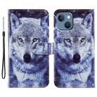 For iPhone 15 Plus Colored Drawing Leather Phone Case(White Wolf) - 1