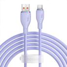 Baseus Pudding Series 100W USB to Type-C Fast Charging Data Cable, Length:2m(Purple) - 1