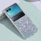 For Motorola Razr 40 Ultra Shell Pattern Glitter Shockproof Phone Case(Silver) - 1