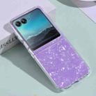 For Motorola Razr 40 Ultra Shell Pattern Glitter Shockproof Phone Case(Purple) - 1