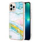 For iPhone 15 Pro Max Electroplating Marble Pattern Dual-side IMD TPU Shockproof Phone Case(Green 004) - 1