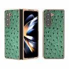 For Samsung Galaxy Z Fold5 Genuine Leather Ostrich Texture Series Nano Plating Phone Case(Green) - 1