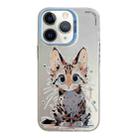 For iPhone 11 Pro Max Animal Pattern Oil Painting Series PC + TPU Phone Case(Stupid Cat) - 1