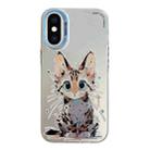 For iPhone XS Max Animal Pattern Oil Painting Series PC + TPU Phone Case(Stupid Cat) - 1