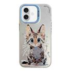 For iPhone 16 Plus Animal Pattern Oil Painting Series PC + TPU Phone Case(Stupid Cat) - 1