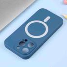 For iPhone 16 Pro Liquid Silicone Magsafe Phone Case(Blue) - 3