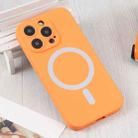 For iPhone 16 Plus Liquid Silicone Magsafe Phone Case(Orange) - 2