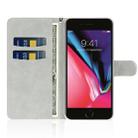 For iPhone 8 / 7 Glitter Powder Horizontal Flip Leather Case with Card Slots & Holder & Lanyard(Silver) - 4