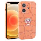 For iPhone 12 Dustproof Net Full Coverage PC Phone Case(Cartoon Character) - 1
