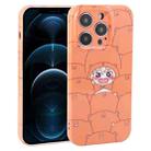 For iPhone 12 Pro Max Dustproof Net Full Coverage PC Phone Case(Cartoon Character) - 1