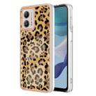 For Motorola Moto G53 / G23 / G13 Electroplating Marble Dual-side IMD Phone Case(Leopard Print) - 1