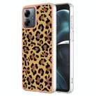 For Motorola Moto G14 Electroplating Marble Dual-side IMD Phone Case(Leopard Print) - 1