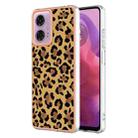 For Motorola Moto G04 4G / G24 4G Electroplating Marble Dual-side IMD Phone Case(Leopard Print) - 1