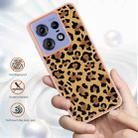 For Motorola Edge 50 Pro Electroplating Marble Dual-side IMD Phone Case(Leopard Print) - 2