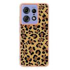 For Motorola Edge 50 Pro Electroplating Marble Dual-side IMD Phone Case(Leopard Print) - 3