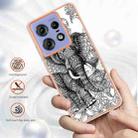 For Motorola Edge 50 Pro Electroplating Marble Dual-side IMD Phone Case(Totem Elephant) - 2