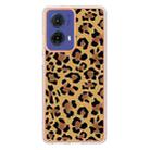 For Motorola Moto G85 Electroplating Marble Dual-side IMD Phone Case(Leopard Print) - 3