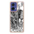 For Motorola Moto G85 Electroplating Marble Dual-side IMD Phone Case(Totem Elephant) - 3