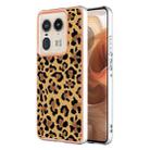 For Motorola Edge 50 Ultra Electroplating Marble Dual-side IMD Phone Case(Leopard Print) - 1