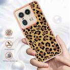 For Motorola Edge 50 Ultra Electroplating Marble Dual-side IMD Phone Case(Leopard Print) - 2