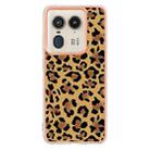 For Motorola Edge 50 Ultra Electroplating Marble Dual-side IMD Phone Case(Leopard Print) - 3