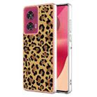 For Motorola Edge 50 Fusion Electroplating Marble Dual-side IMD Phone Case(Leopard Print) - 1