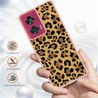 For Motorola Edge 50 Fusion Electroplating Marble Dual-side IMD Phone Case(Leopard Print) - 2