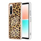 For Sony Xperia 10 IV Electroplating Marble Dual-side IMD Phone Case(Leopard Print) - 1