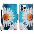 For iPhone 15 Pro Max 3D Colored Drawing Flip Leather Phone Case(Chrysanthemum) - 1