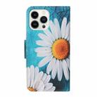 For iPhone 16 Pro Max 3D Colored Drawing Flip Leather Phone Case(Chrysanthemum) - 3