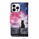 For iPhone 16 Pro Max 3D Colored Drawing Flip Leather Phone Case(Star Cat) - 3