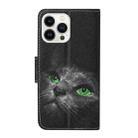 For iPhone 16 Pro 3D Colored Drawing Flip Leather Phone Case(Black Cat) - 3