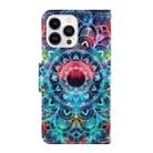 For iPhone 16 Pro 3D Colored Drawing Flip Leather Phone Case(Mandala) - 3