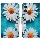 For iPhone 16 Plus 3D Colored Drawing Flip Leather Phone Case(Daisy) - 1