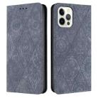 For iPhone 15 Pro Ethnic Embossed Adsorption Leather Phone Case(Grey) - 1