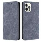 For iPhone 16 Pro Ethnic Embossed Adsorption Leather Phone Case(Grey) - 1