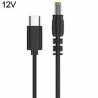 12V 5.5 x 2.5mm DC Power to Type-C Adapter Cable - 1