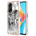 For OPPO A98 Electroplating Marble Dual-side IMD Phone Case(Totem Elephant) - 1