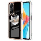 For OPPO A98 Electroplating Marble Dual-side IMD Phone Case(Natural Growth) - 1