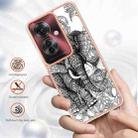 For OPPO Reno11 F 5G Global Electroplating Marble Dual-side IMD Phone Case(Totem Elephant) - 2