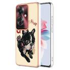 For OPPO Reno11 F 5G Global Electroplating Marble Dual-side IMD Phone Case(Lucky Dog) - 1